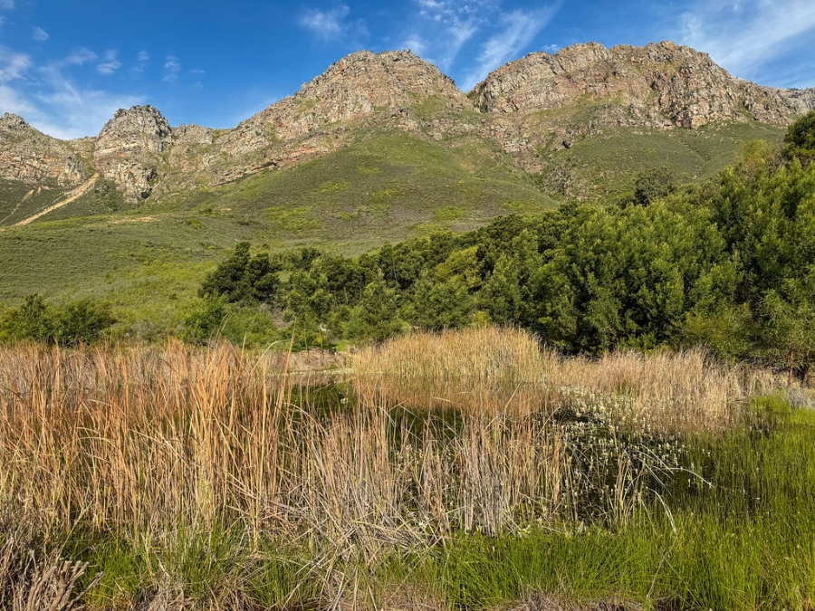 0 Bedroom Property for Sale in Wolseley Western Cape
